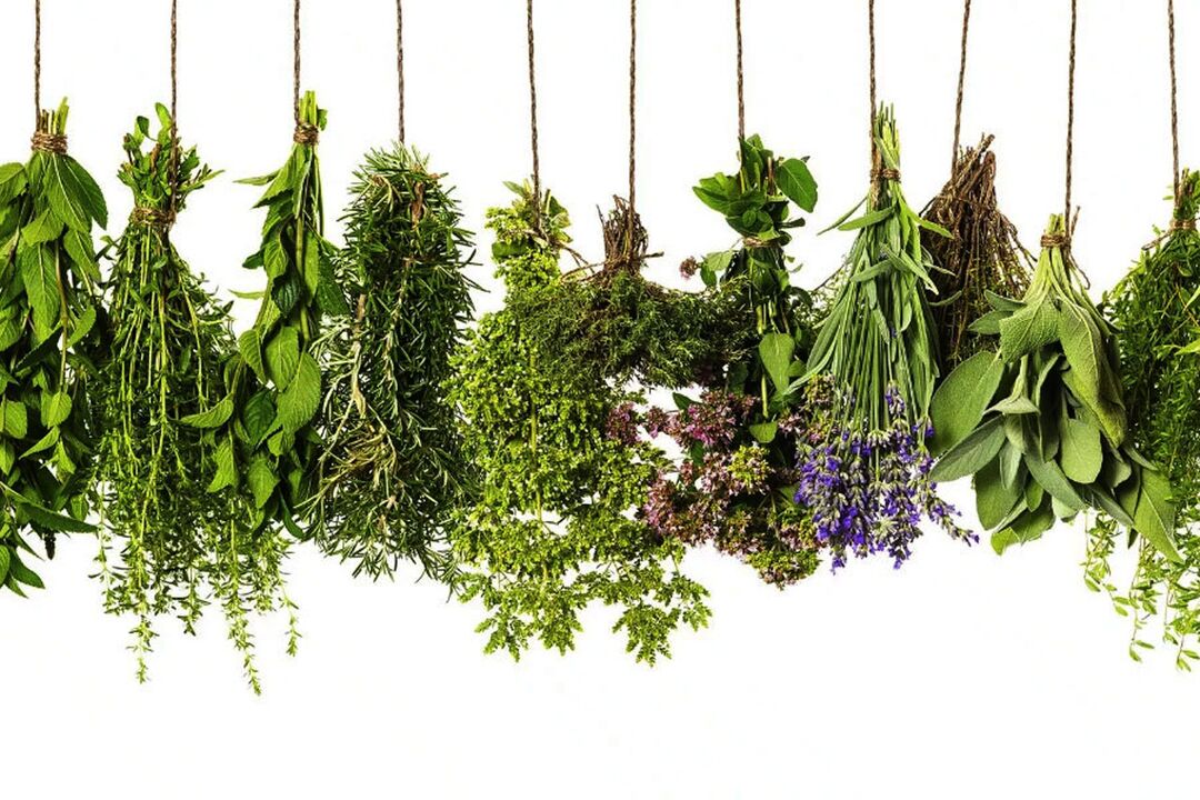 tropický bylinný extrakt v Eroboost